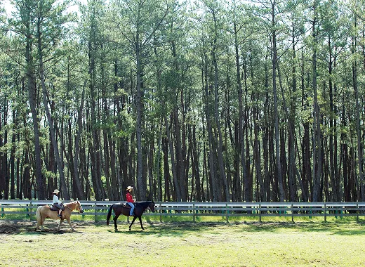 アクティビティー一覧