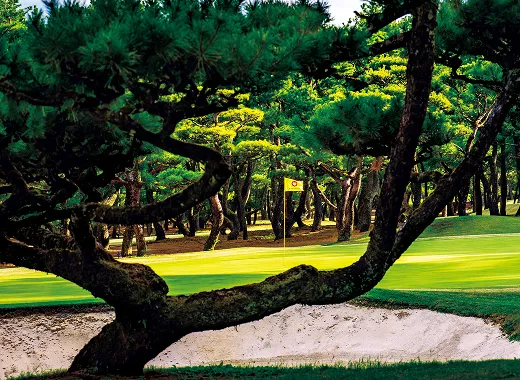 フェニックスカントリークラブ