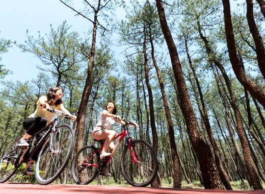 おすすめの過ごし方