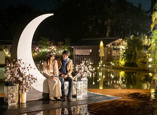 ムービーギャラリー