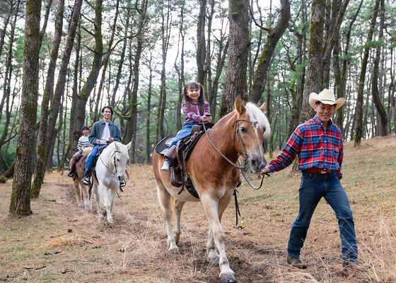 シーガイア乗馬クラブ UMAIRU