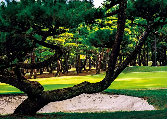 フェニックスカントリークラブ