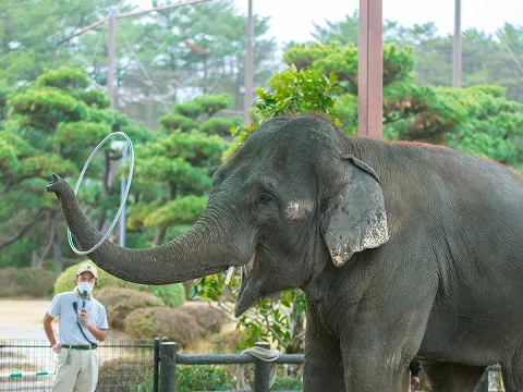 宮崎市フェニックス自然動物園