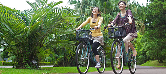 Rental bicycles