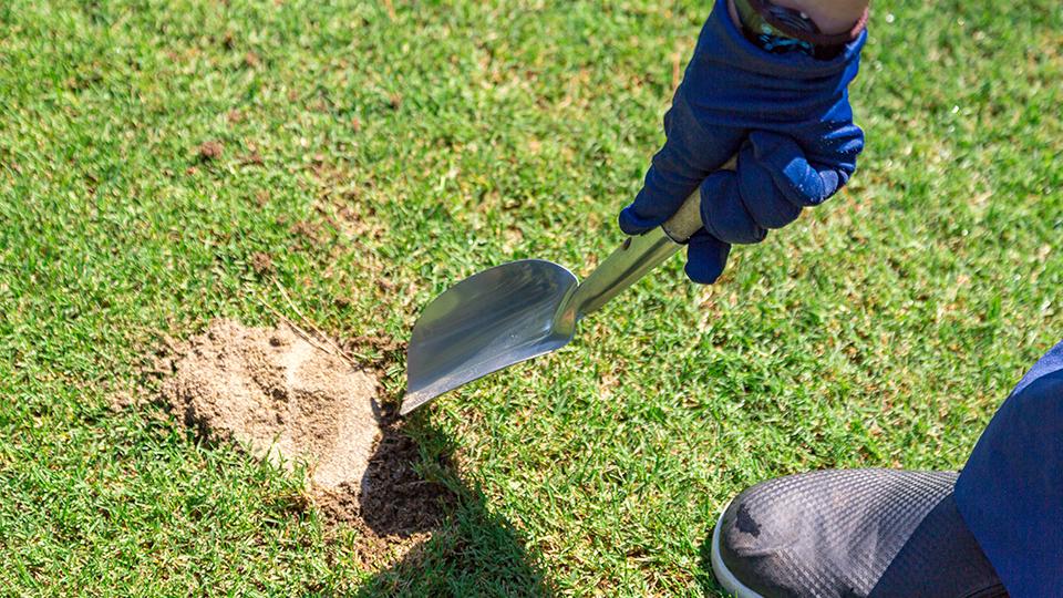 ディボット跡のメンテナンス