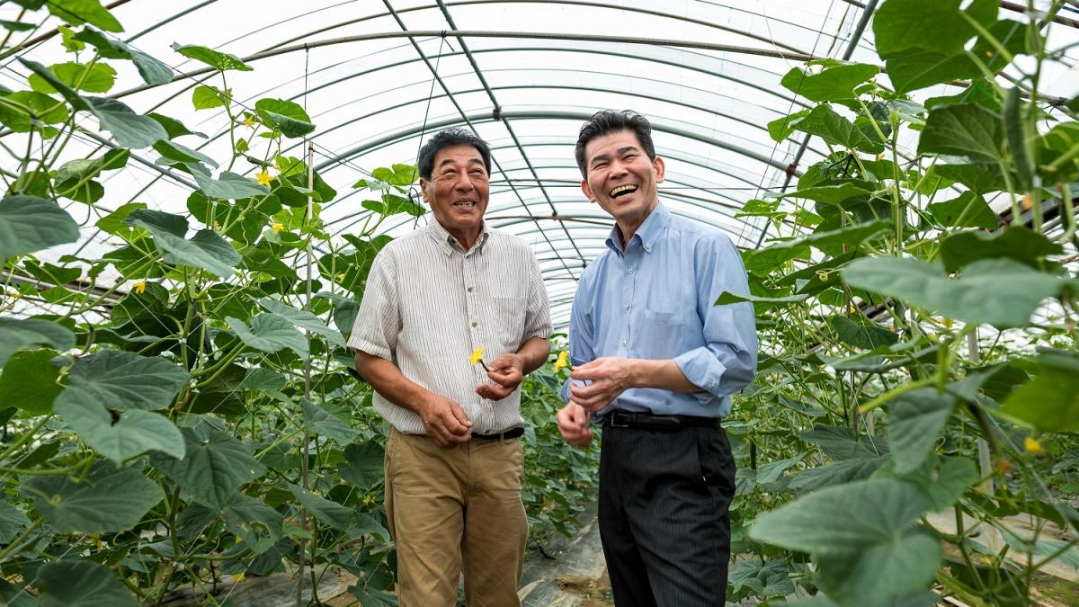 トマトと胡瓜を育てている「図師農園」を訪ねる、深水総料理長