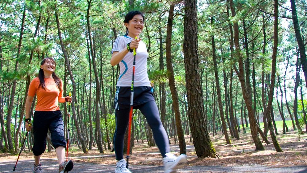 ノルディックウォーキング