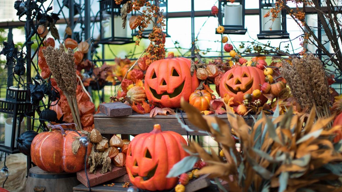 【 vol.48 】2022年 秋号