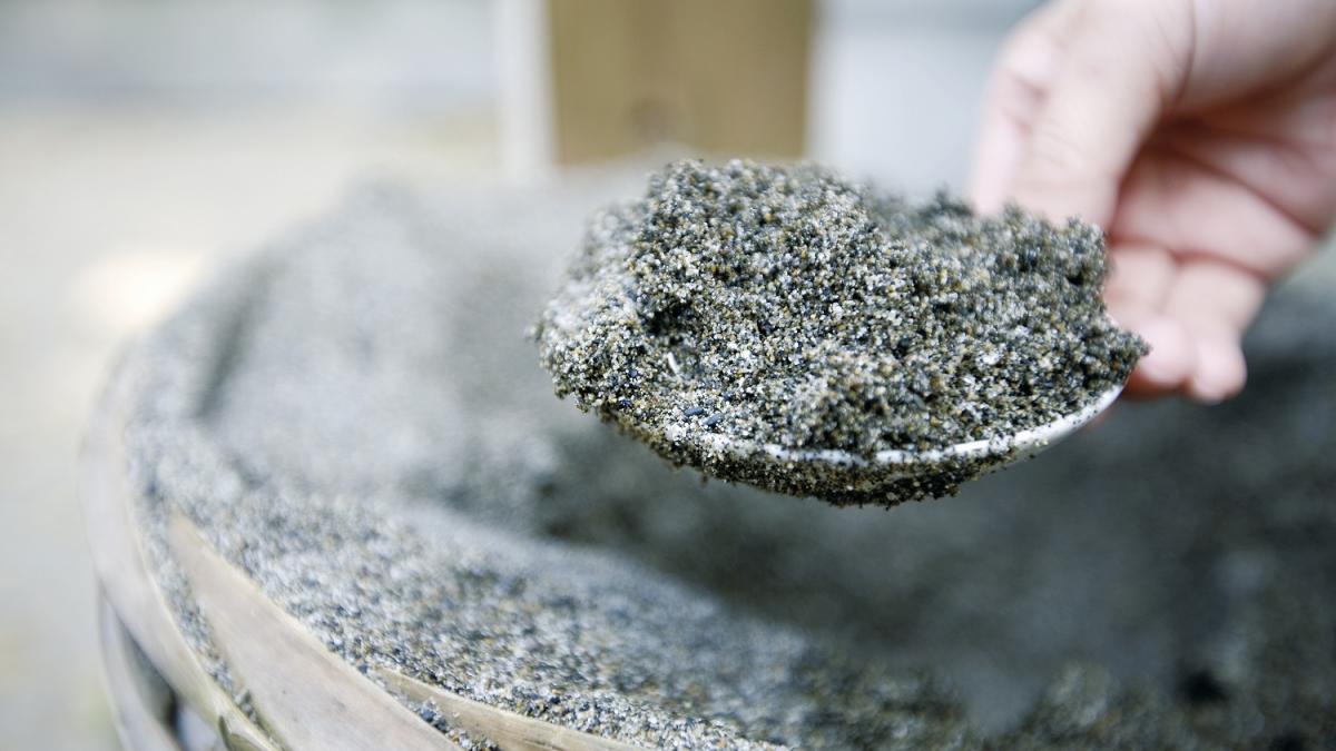 住吉神社【宮崎市】