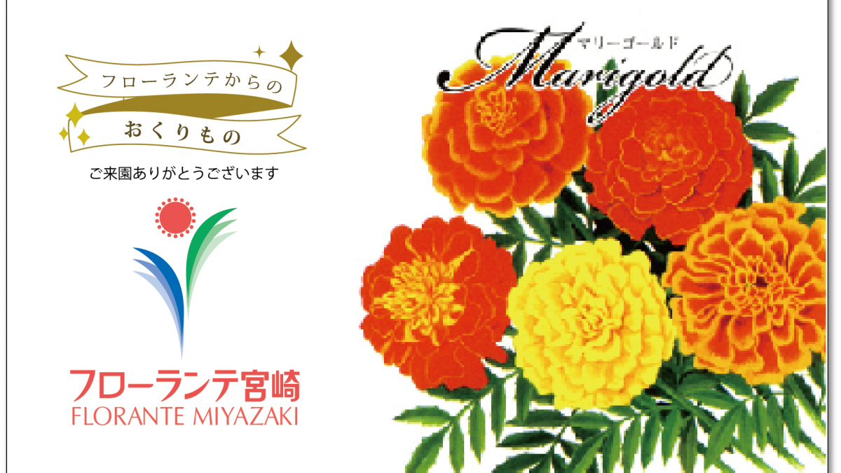 フローランテ宮崎