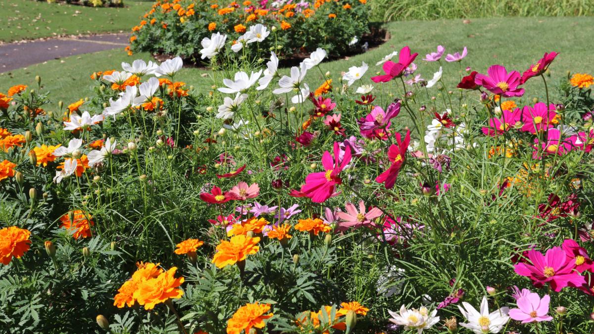 フローランテ宮崎「秋のフローラル祭」