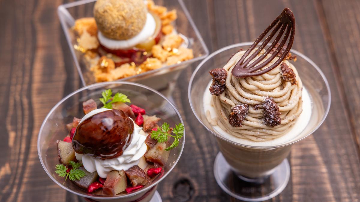 【 vol.54 】2023年 9-10月号