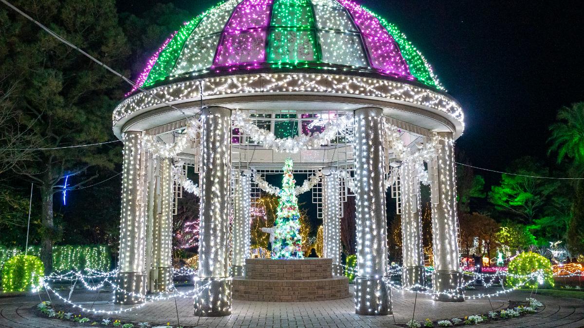 イルミネーション・フラワーガーデン 2024