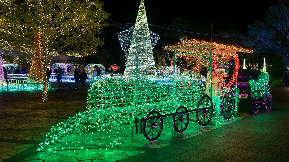 イルミネーション・フラワーガーデン 2024