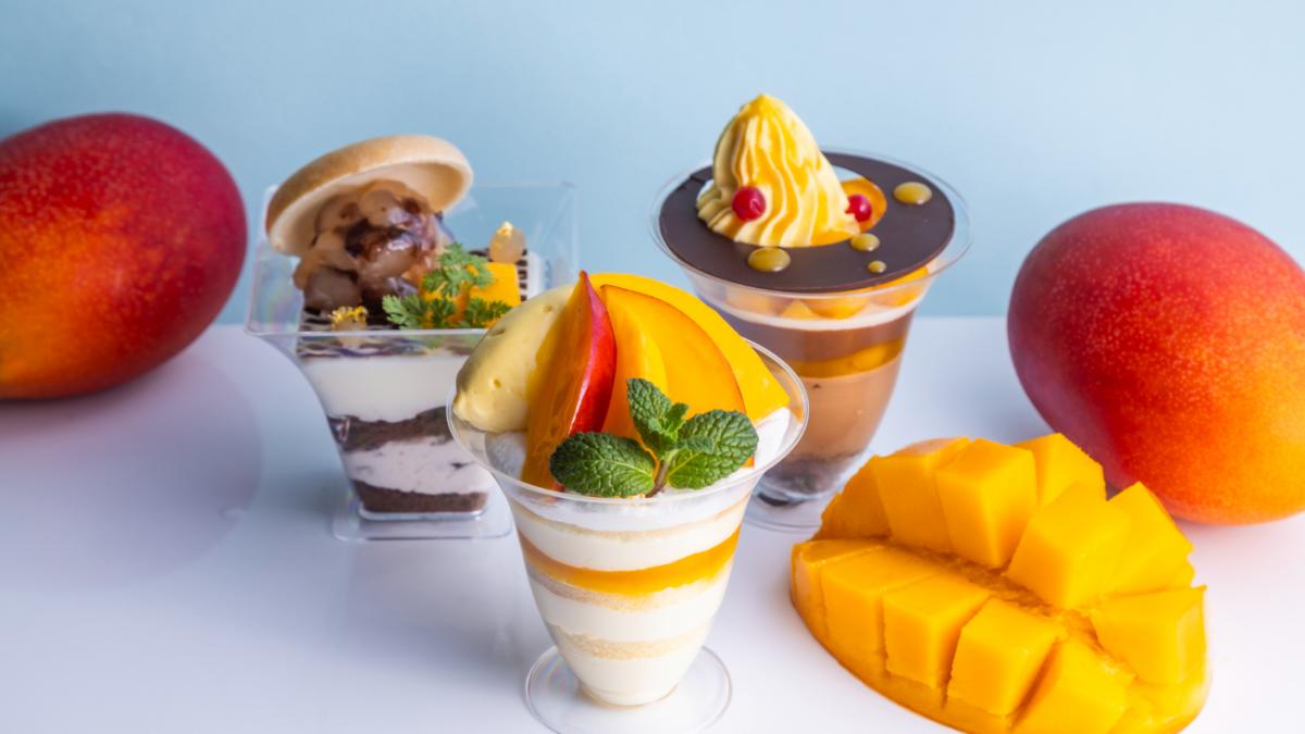 【 vol.58 】2024年 5-6月号