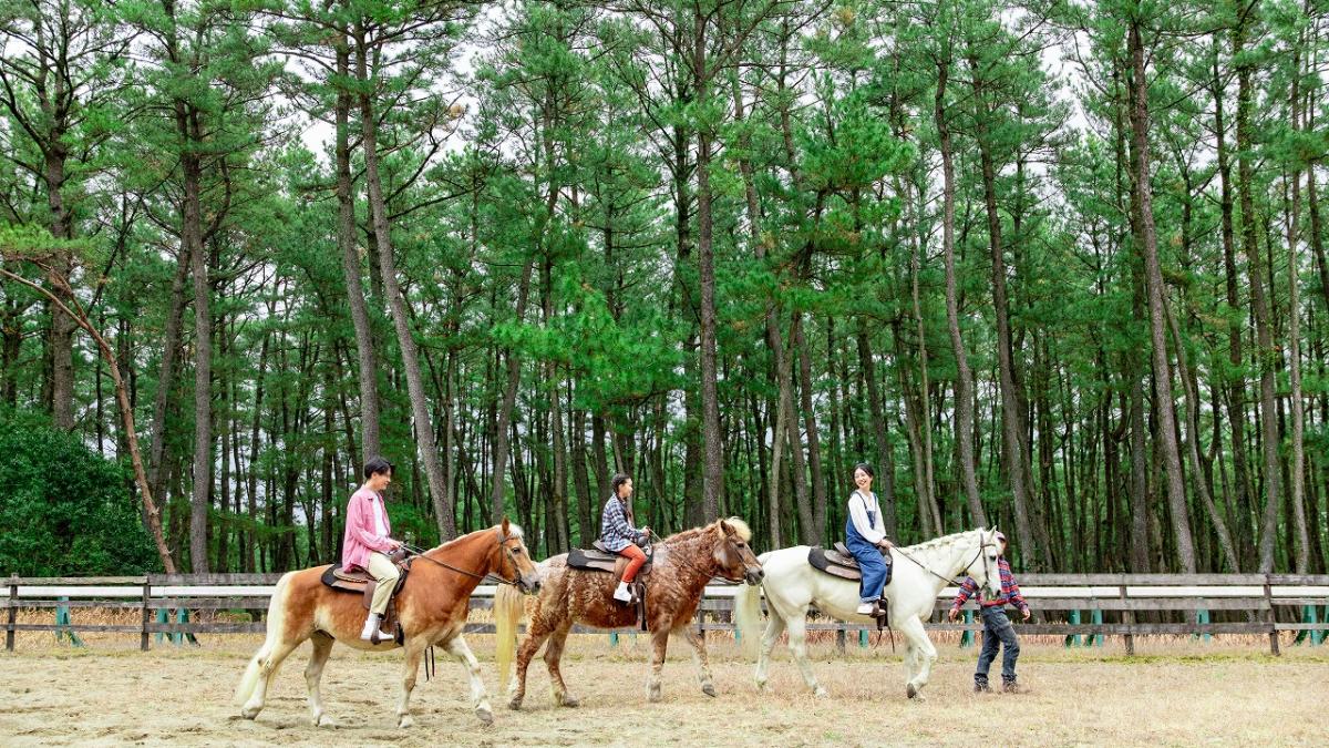 シーガイア乗馬クラブ UMAIRU