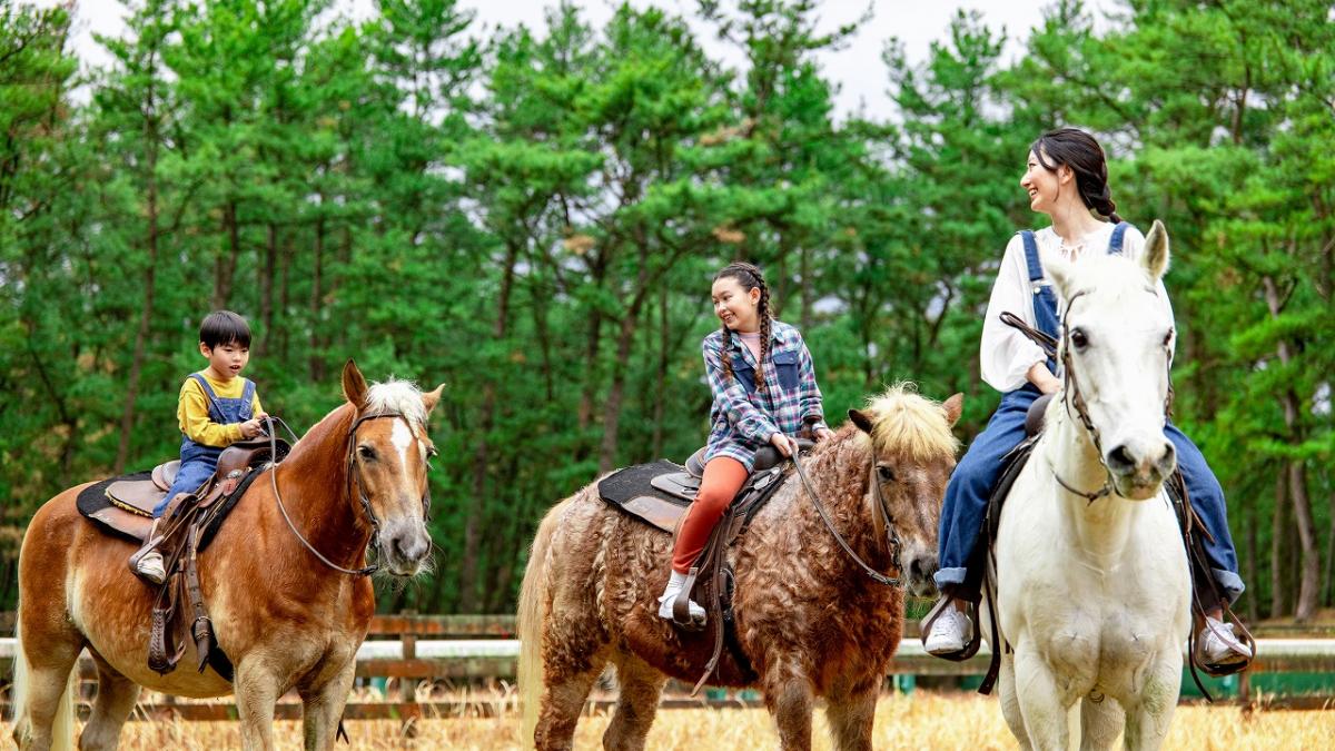 シーガイア乗馬クラブ UMAIRU