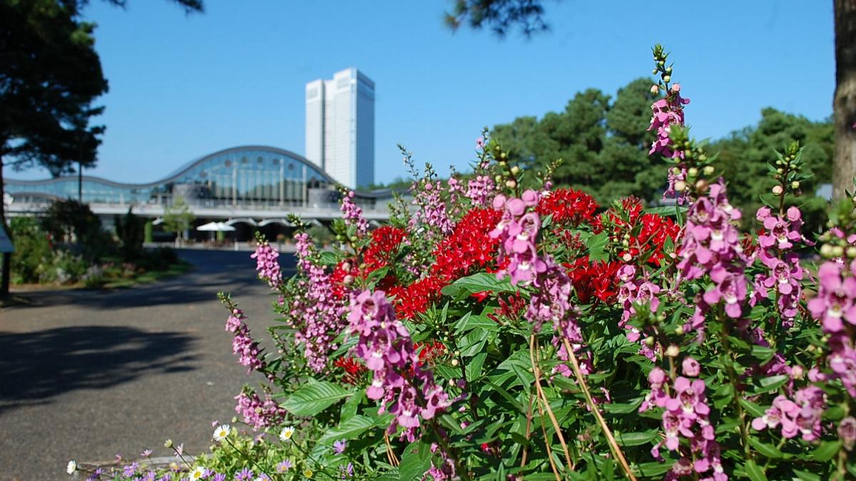 フローランテ宮崎