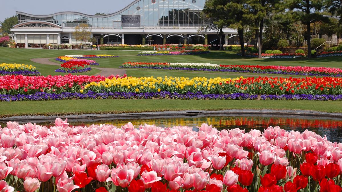 フローランテ宮崎