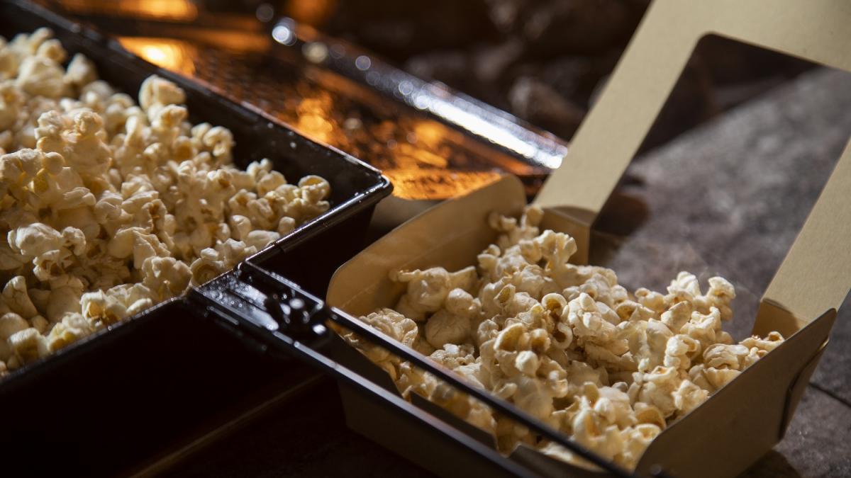 焚火のリビング