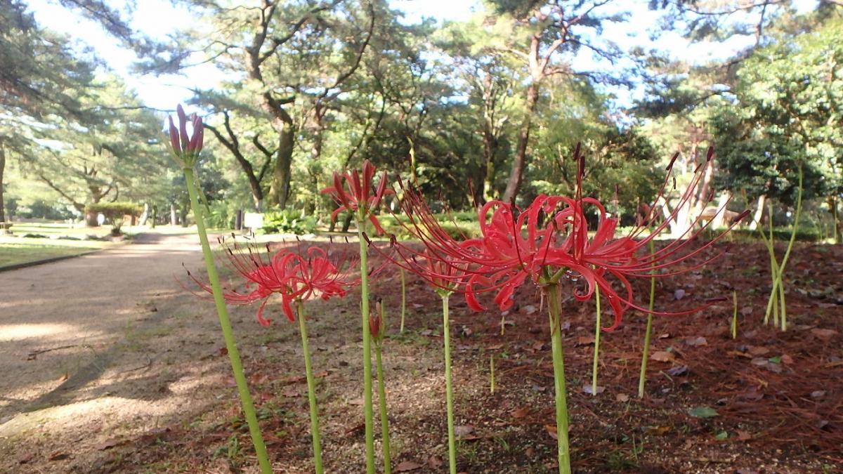 県立阿波岐原森林公園