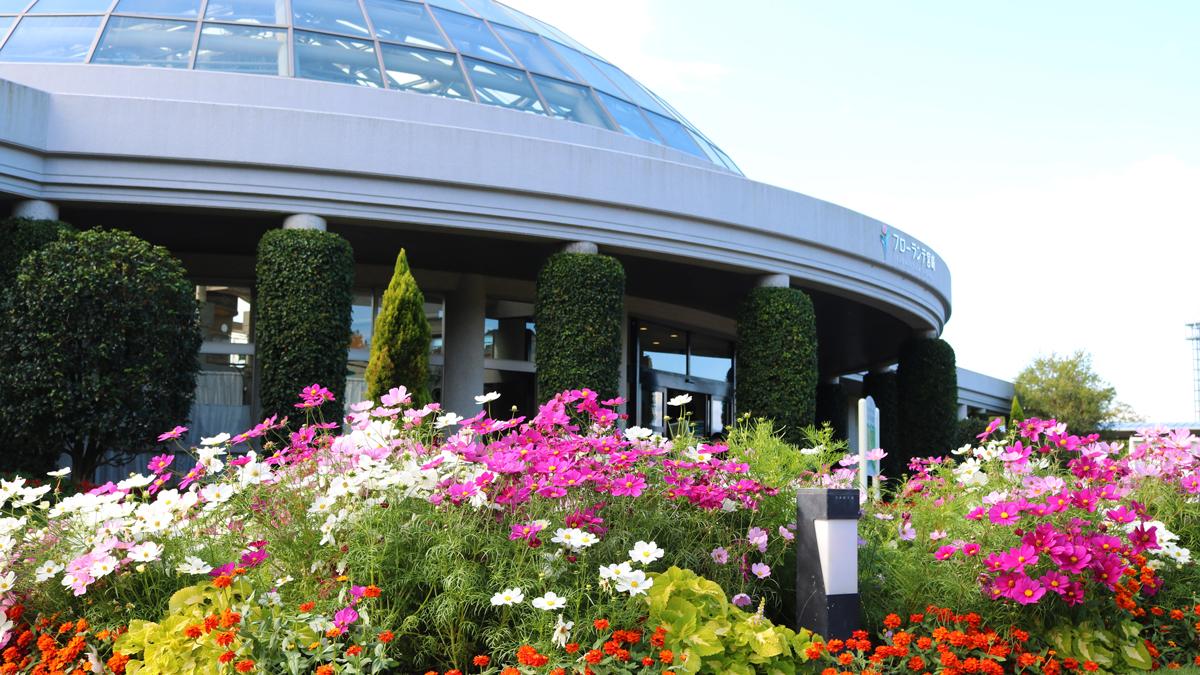 フローランテ宮崎