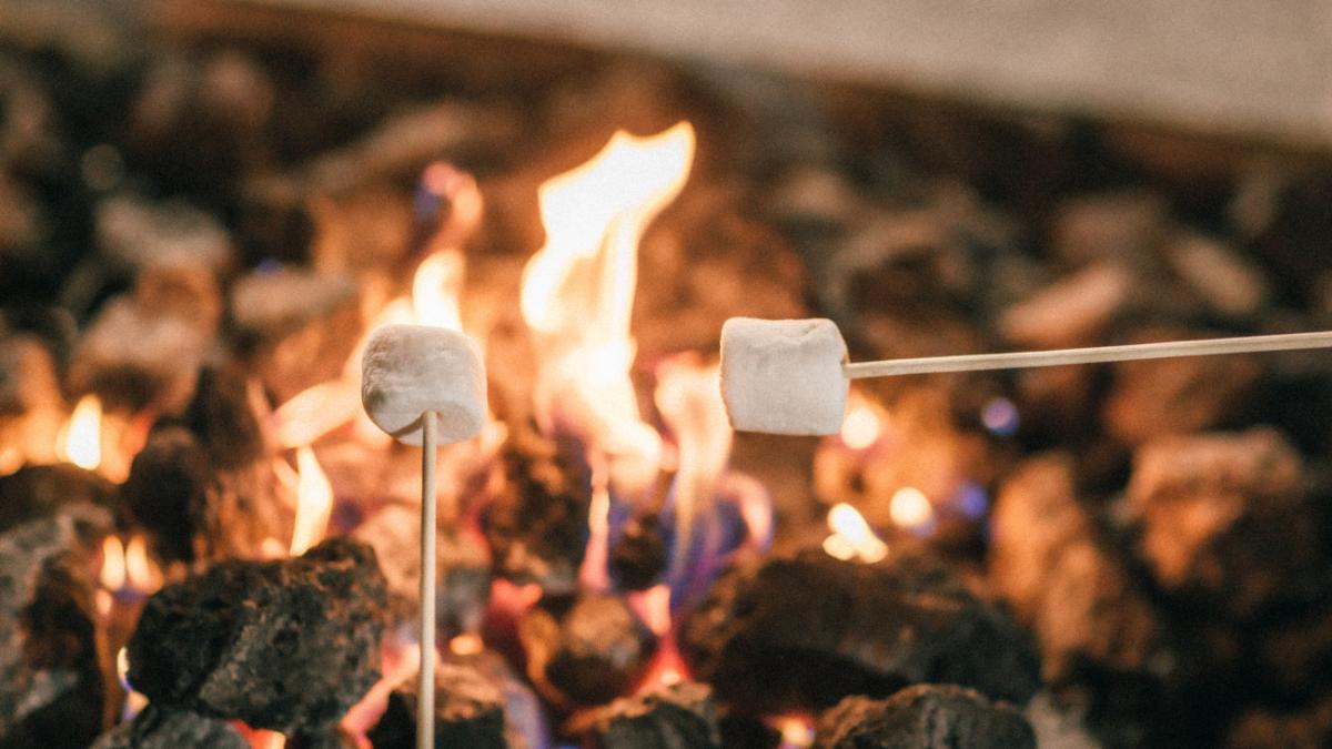 焚火のリビング