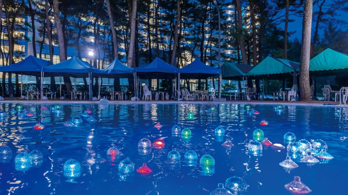 ガーデンプール