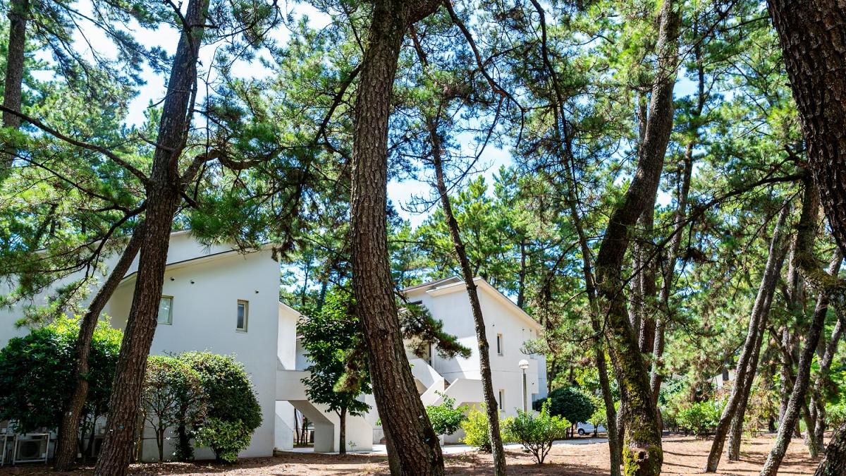 シーガイア・フォレスト・コテージ