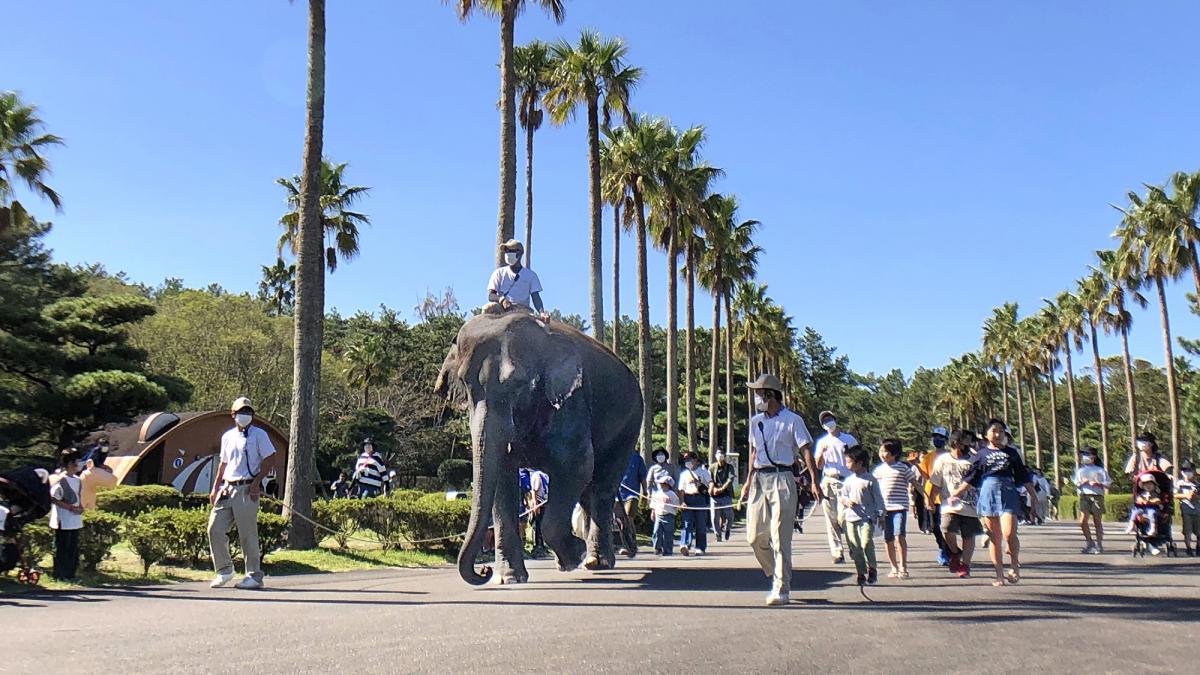 宮崎市フェニックス自然動物園