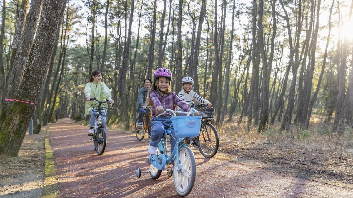 レンタサイクル