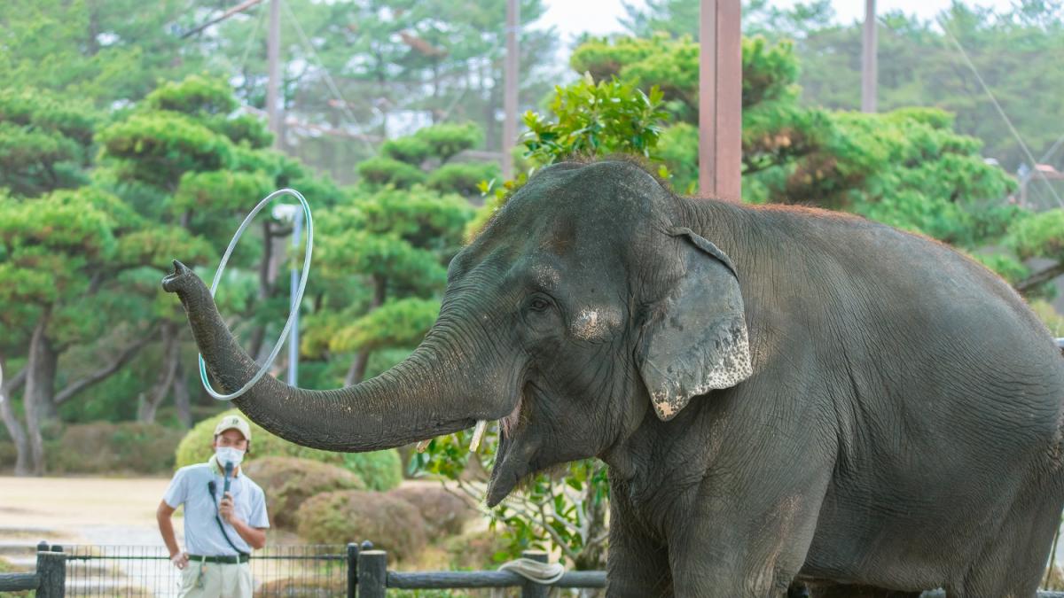 宮崎市フェニックス自然動物園