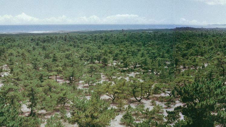 クラブの歴史グリーンのイメージ