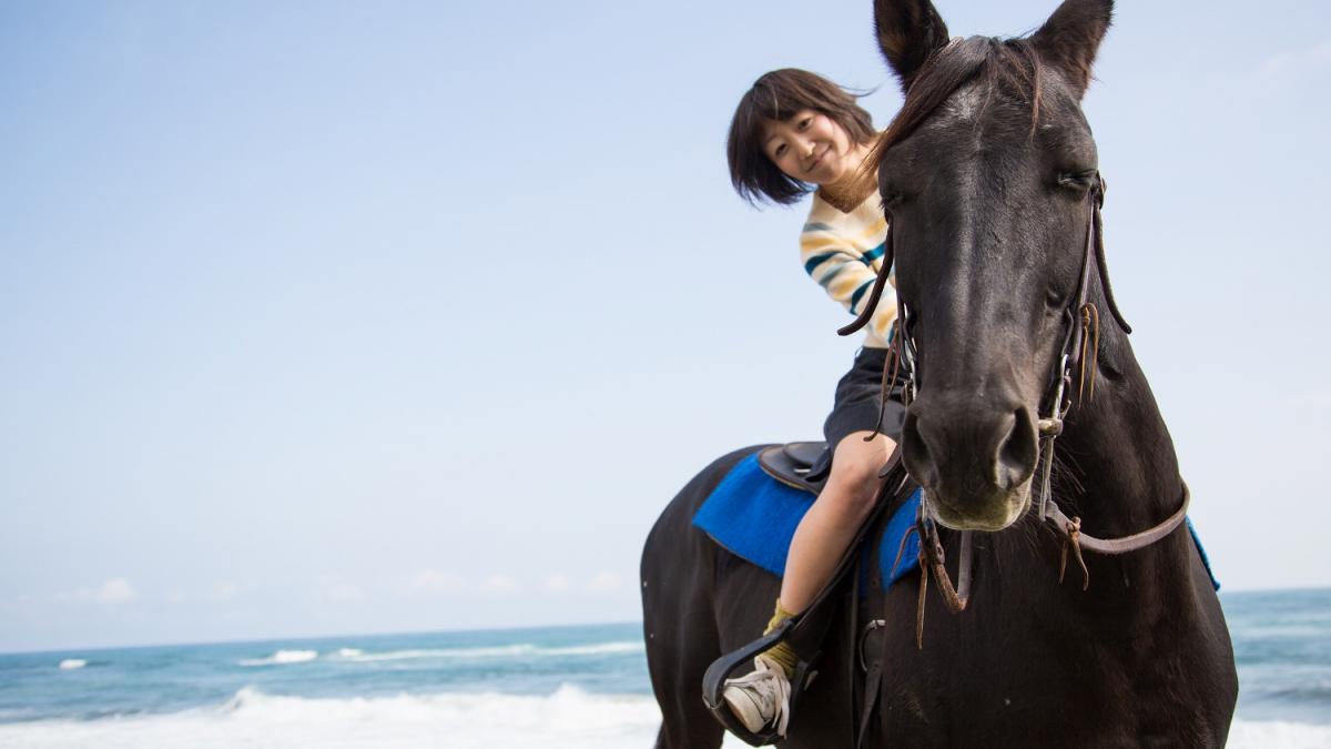 シーガイア乗馬クラブ UMAIRU