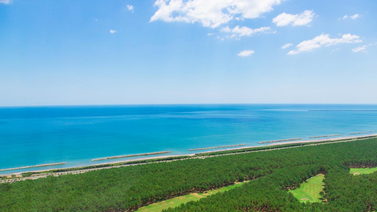 客室からの眺め