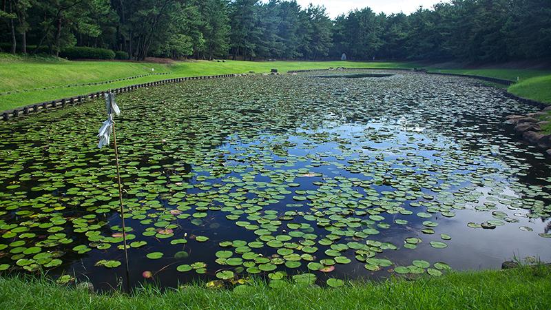 神話の国・HIMUKAスピリチュアルツアー