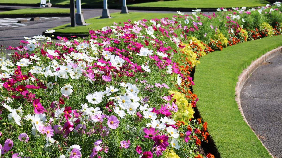 Instagram #ひとつ葉秋めぐり フォトコンテスト