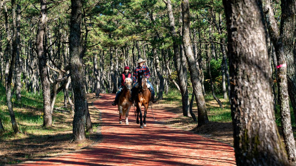 ヒトツバ・ビーチライディングコース