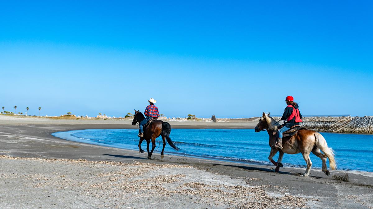 ヒトツバ・ビーチライディングコース