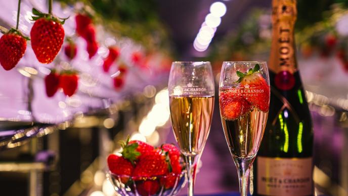 シャンパンベリーナイト ~夜のいちご狩り×シャンパン飲み放題~