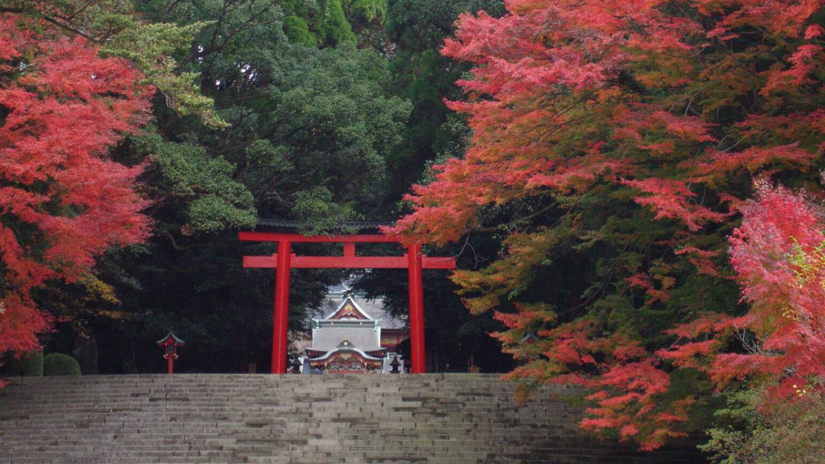 霧島神宮