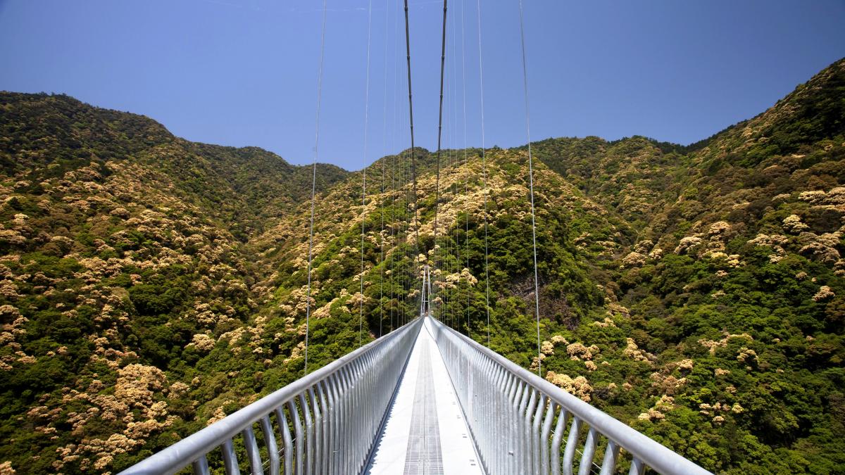 綾の照葉大吊橋
