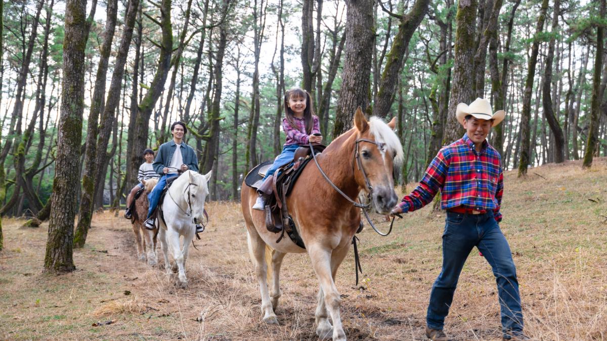 乗馬体験