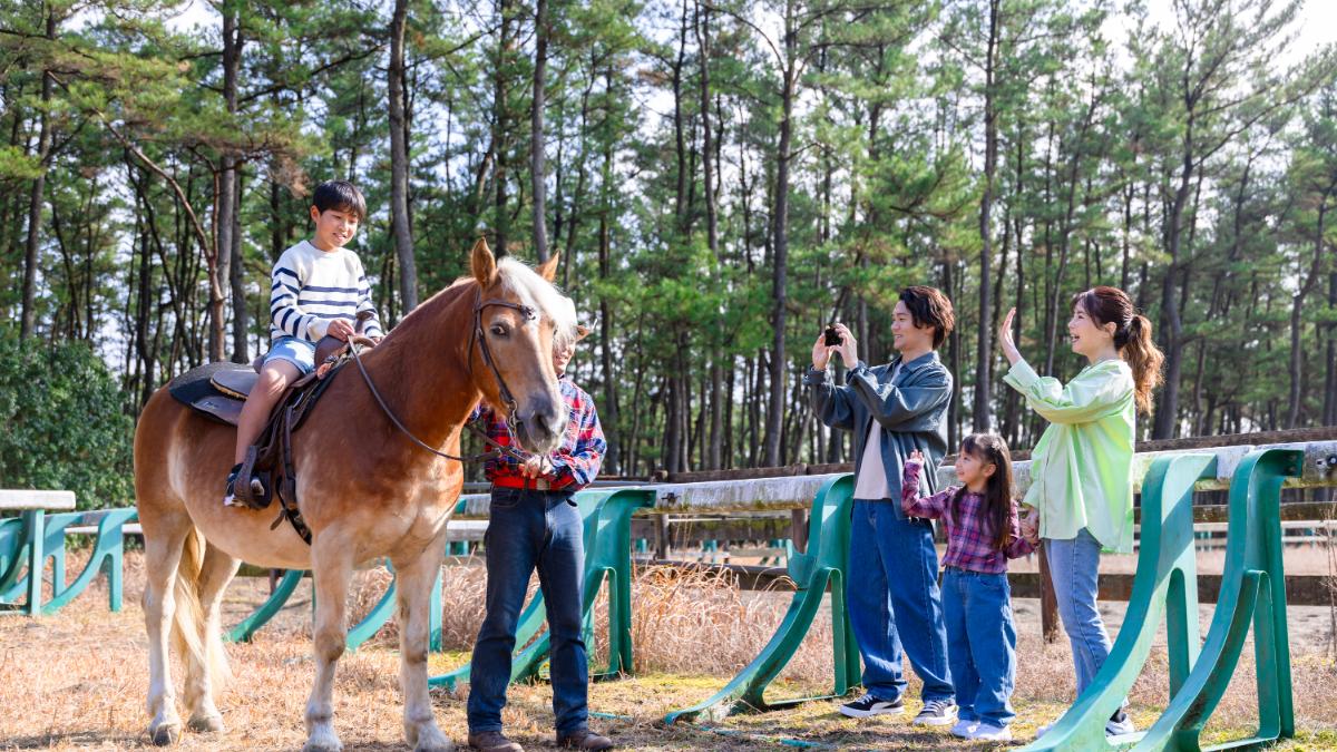 乗馬体験