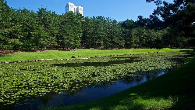 阿波岐原森林公園 市民の森