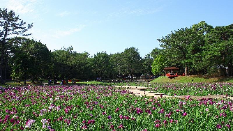 阿波岐原森林公園 市民の森