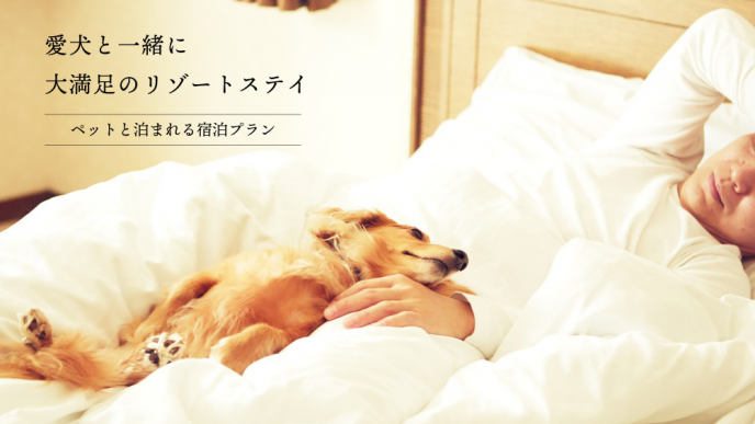 ペット同伴について コテージ ヒムカ ホテル 公式 フェニックス シーガイア リゾート