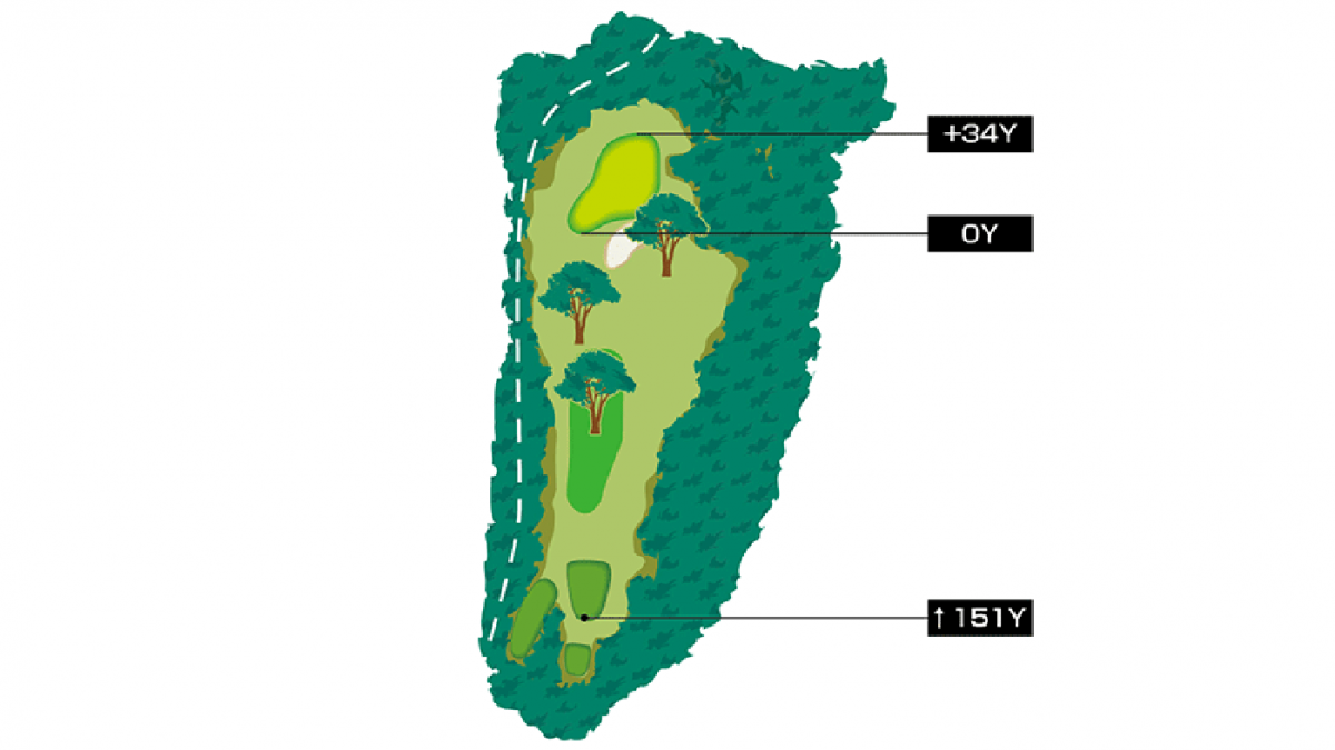 日南コース　Hole 3 Par 3　コースマップ