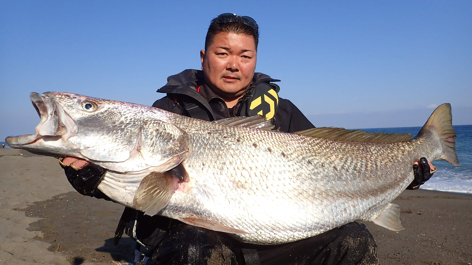 体長1 8m 宮崎サーフの怪魚 オオニベ 釣り シーズンイベント イベント イベント アクティビティー 公式 フェニックス シーガイア リゾート