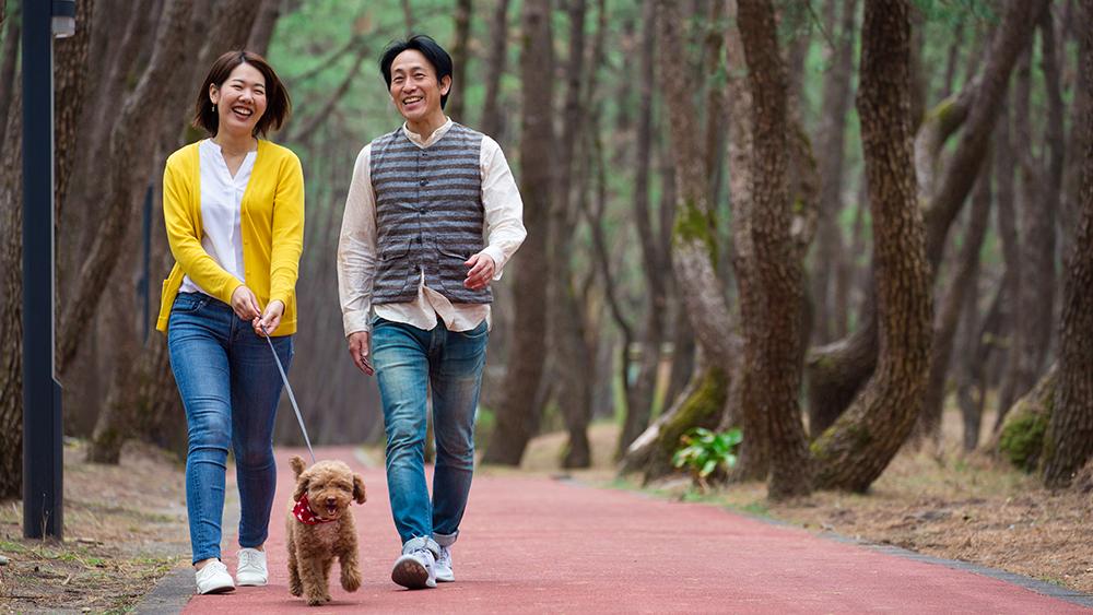 松林の遊歩道をペットとお散歩
